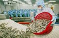 Nguồn Gốc Ngành Chế Biến Thủy Sản | Lịch Sử Máy Chế Biến Thủy Sản