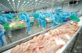 Máy Chế Biến Thủy Sản 2026 | Dây Chuyền Chế Biến Tôm Cá VIPATEK