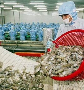 Nguồn Gốc Ngành Chế Biến Thủy Sản | Lịch Sử Máy Chế Biến Thủy Sản