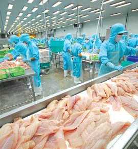 Máy Chế Biến Thủy Sản 2026 | Dây Chuyền Chế Biến Tôm Cá VIPATEK