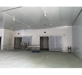 Kho Cấp Đông Thủy Sản Công Nghiệp | Thiết Kế Theo Công Suất