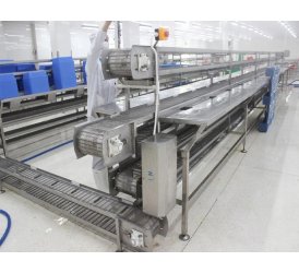 Băng Tải Lột Vỏ Tôm | Băng Tải Gom, Phân Phối Thủy Sản VIPATEK