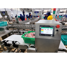 Máy Cân Băng Tải Cá, Tôm, Thủy Sản | Cân Băng Động VIPATEK