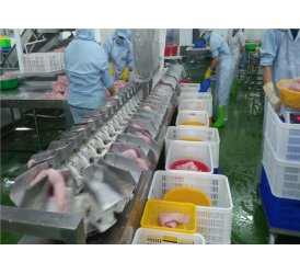 Máy Phân Cỡ Cá Theo Trọng lượng | Máy Phân Loại Cá – VIPATEK