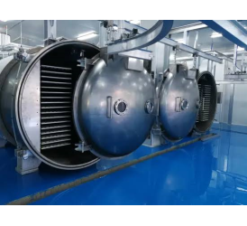 Máy Sấy Thăng Hoa Công Nghiệp 50–1000kg/Mẻ | VIPATEK