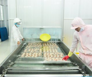 Máy hấp thủy sản, máy luộc công nghiệp Vipatek