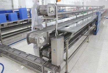 Băng Tải Lột Vỏ Tôm | Băng Tải Gom, Phân Phối Thủy Sản VIPATEK