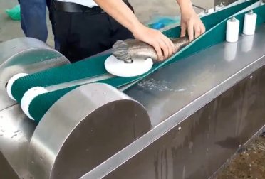 Máy Xẻ Bướm Cá Công Nghiệp | Máy Chế Biến Cá VIPATEK