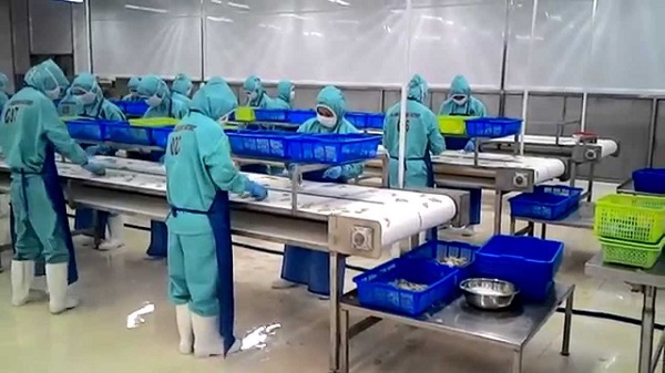Cách mạng máy chế biến thủy sản phát triển nhanh giúp con người làm chủ hệ thống năng suất lớn