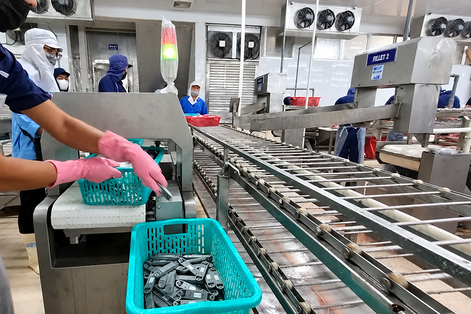 Máy cân băng tải cá tự động, cân băng động hiện đại, có thể tích hợp thẻ từ Vipatek