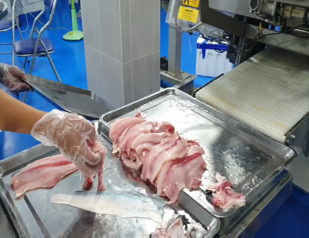 Giải pháp máy lạng da cá trống lạnh, máy tách da cá công nghiệp hiệu quả cho cá phi lê