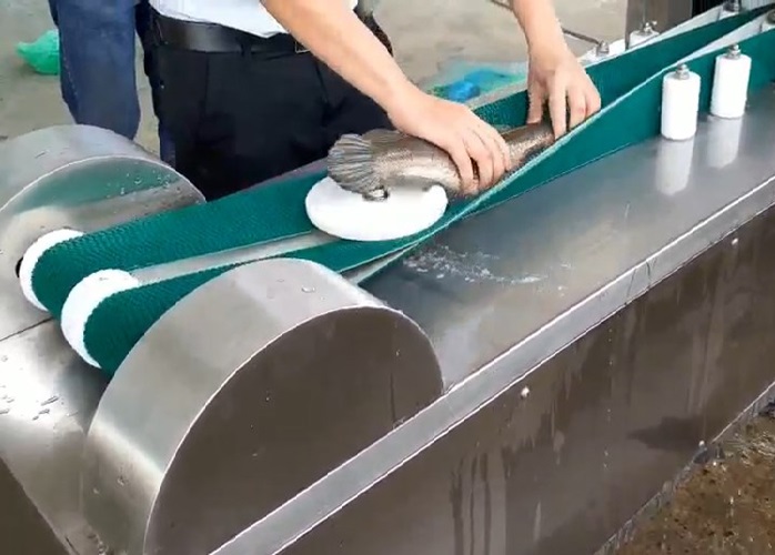 Máy xẻ bướm cá, máy mổ cá, máy chế biến cá thủy sản Viptek